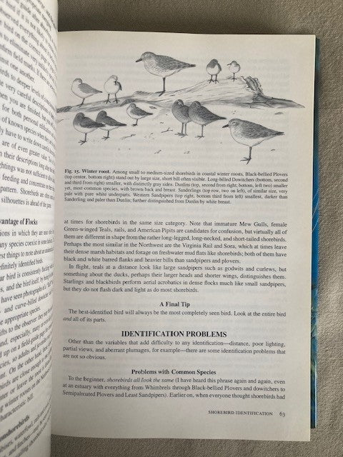 Shorebirds of the Pacific Northwest