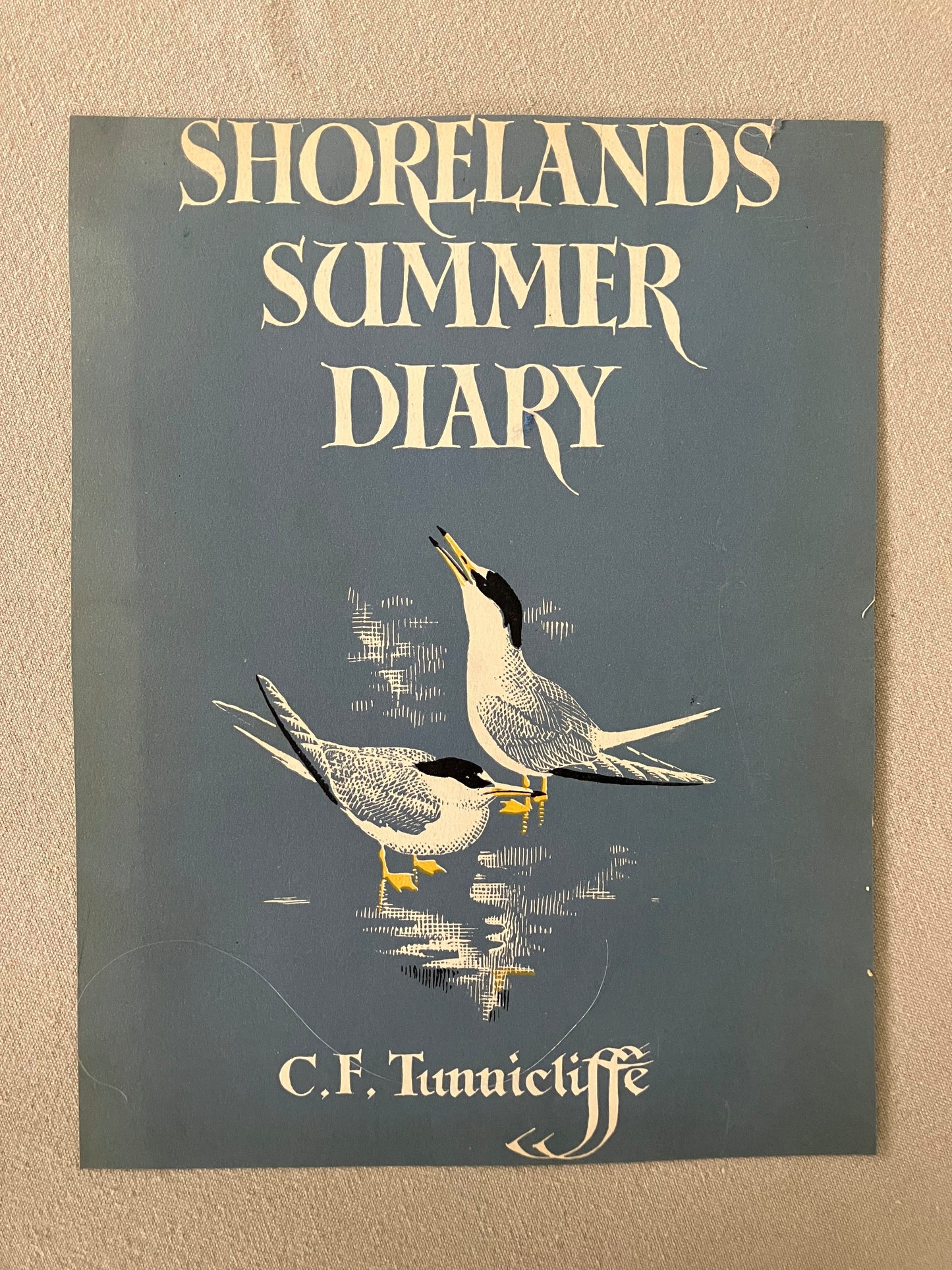Shorelands Summer Diary