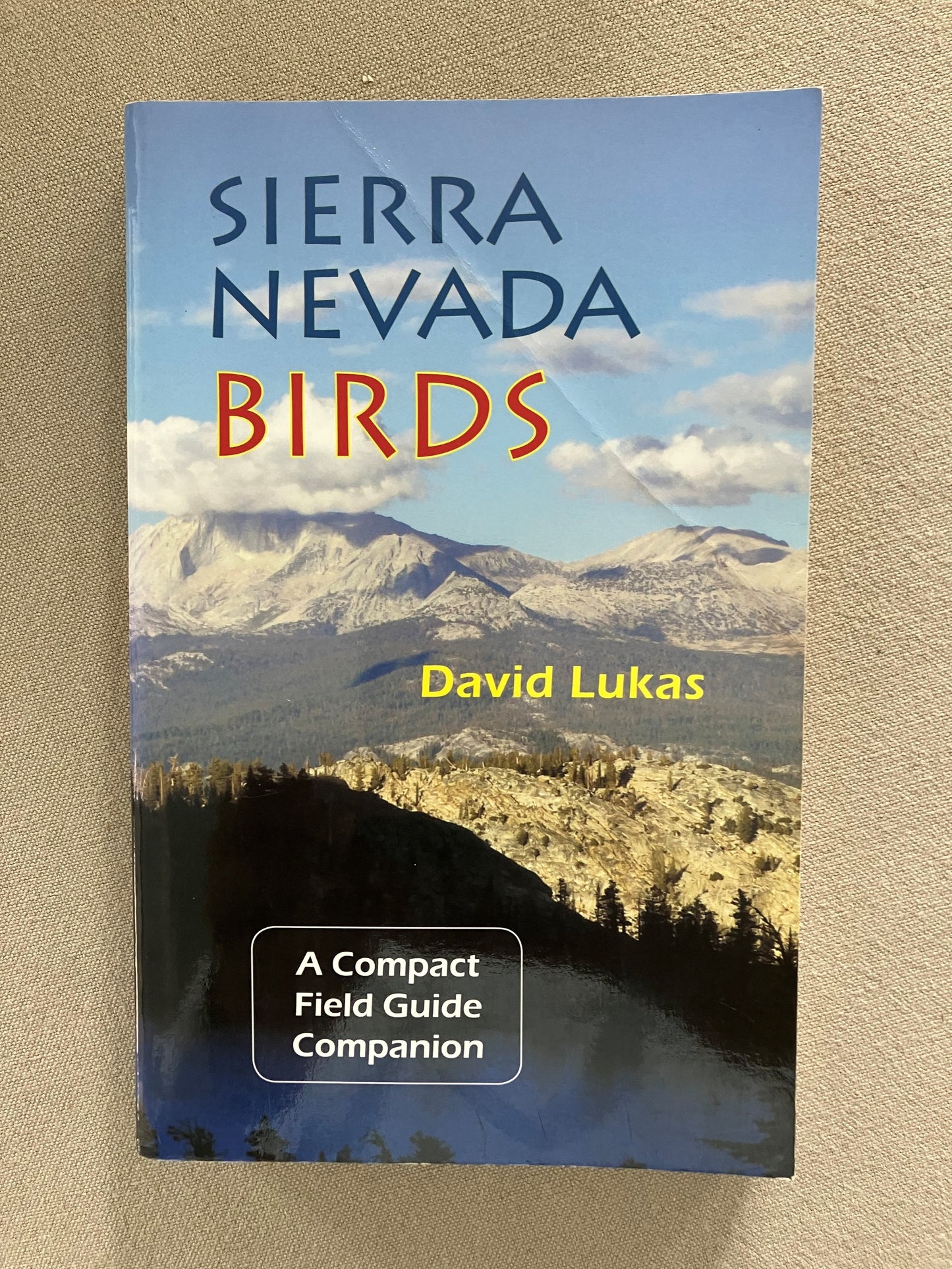 Sierra Nevada Birds