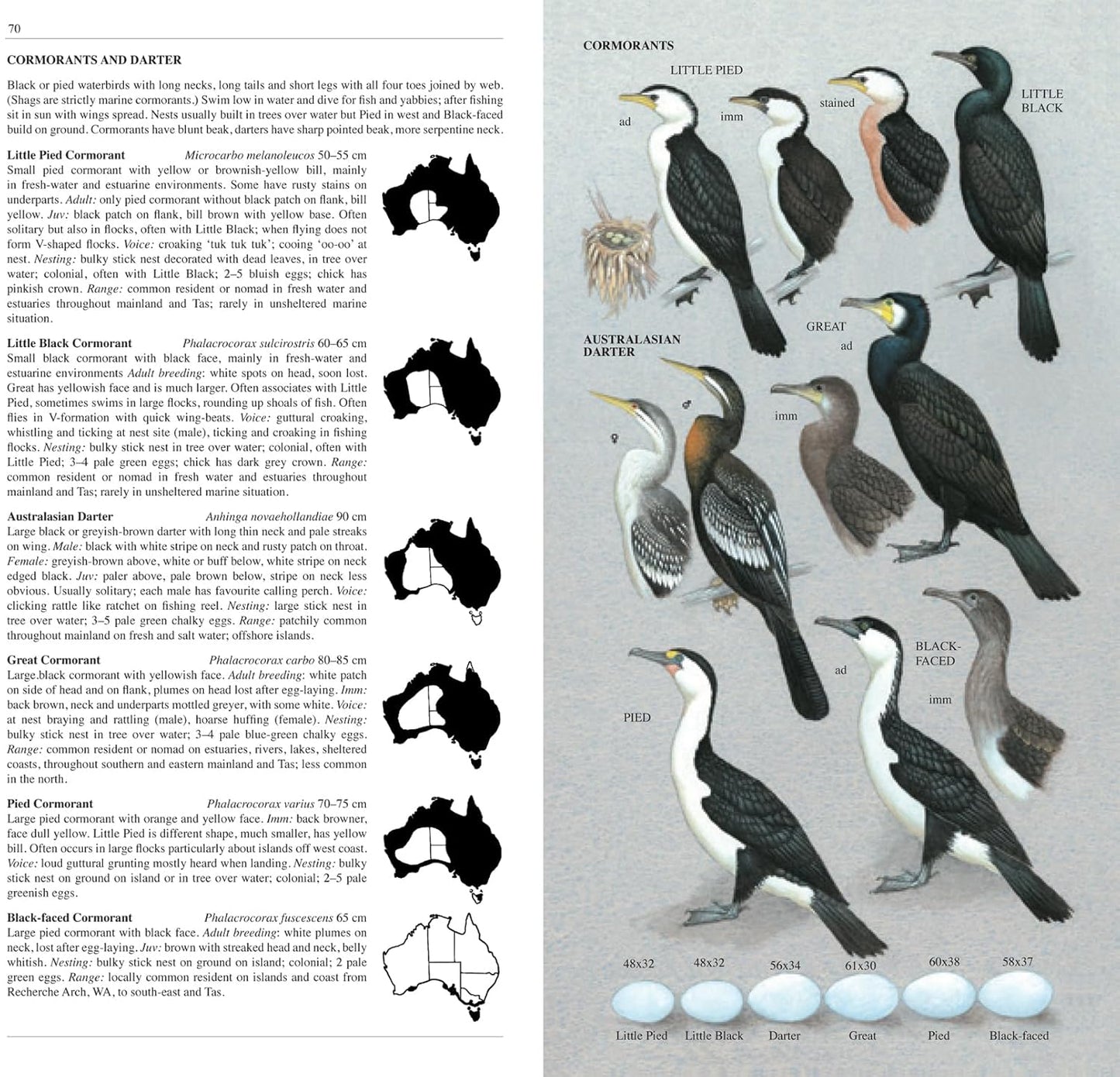 The Slater Field Guide to Australian Birds