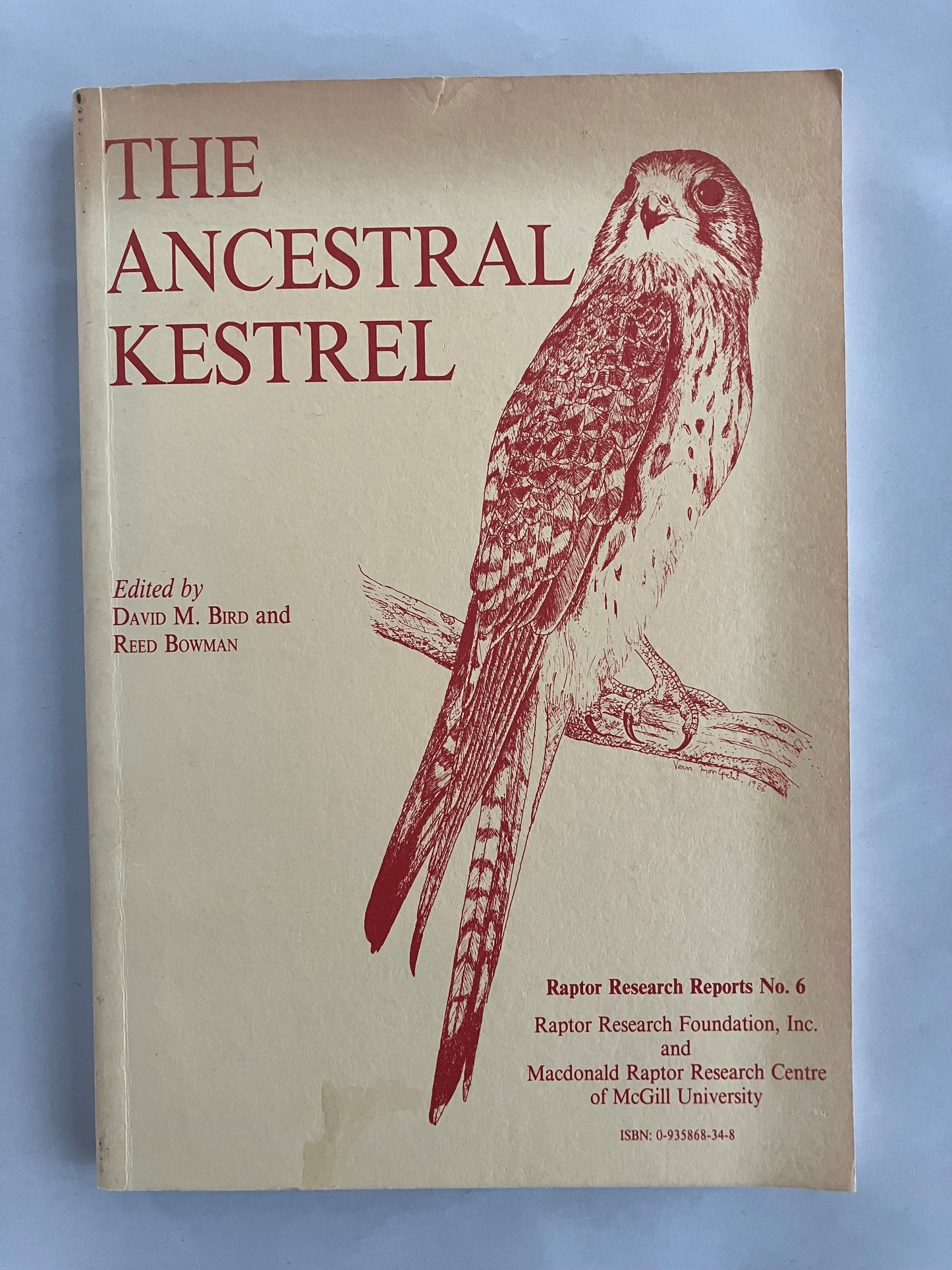 The Ancestral Kestrel