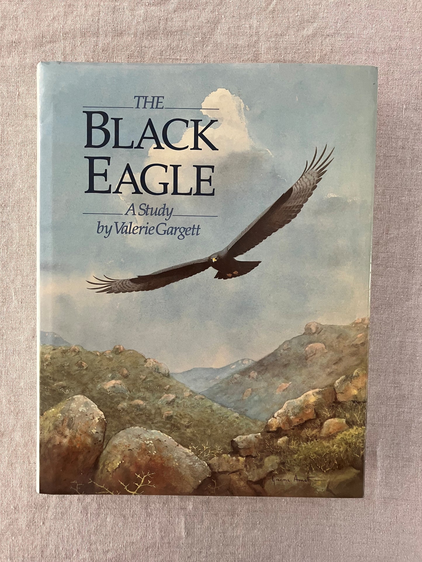 The Black Eagle: A study