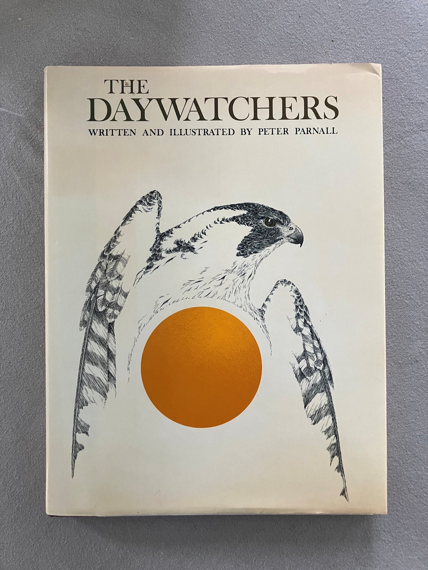The Daywatchers