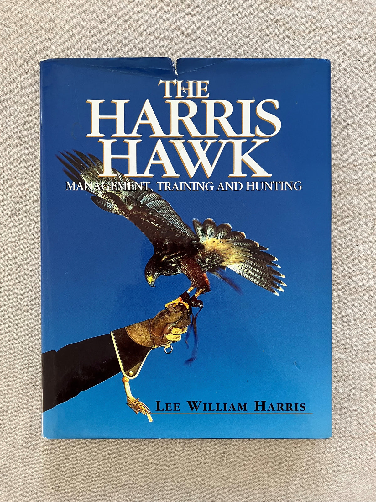 The Harris Hawk: Management, Training and Hunting