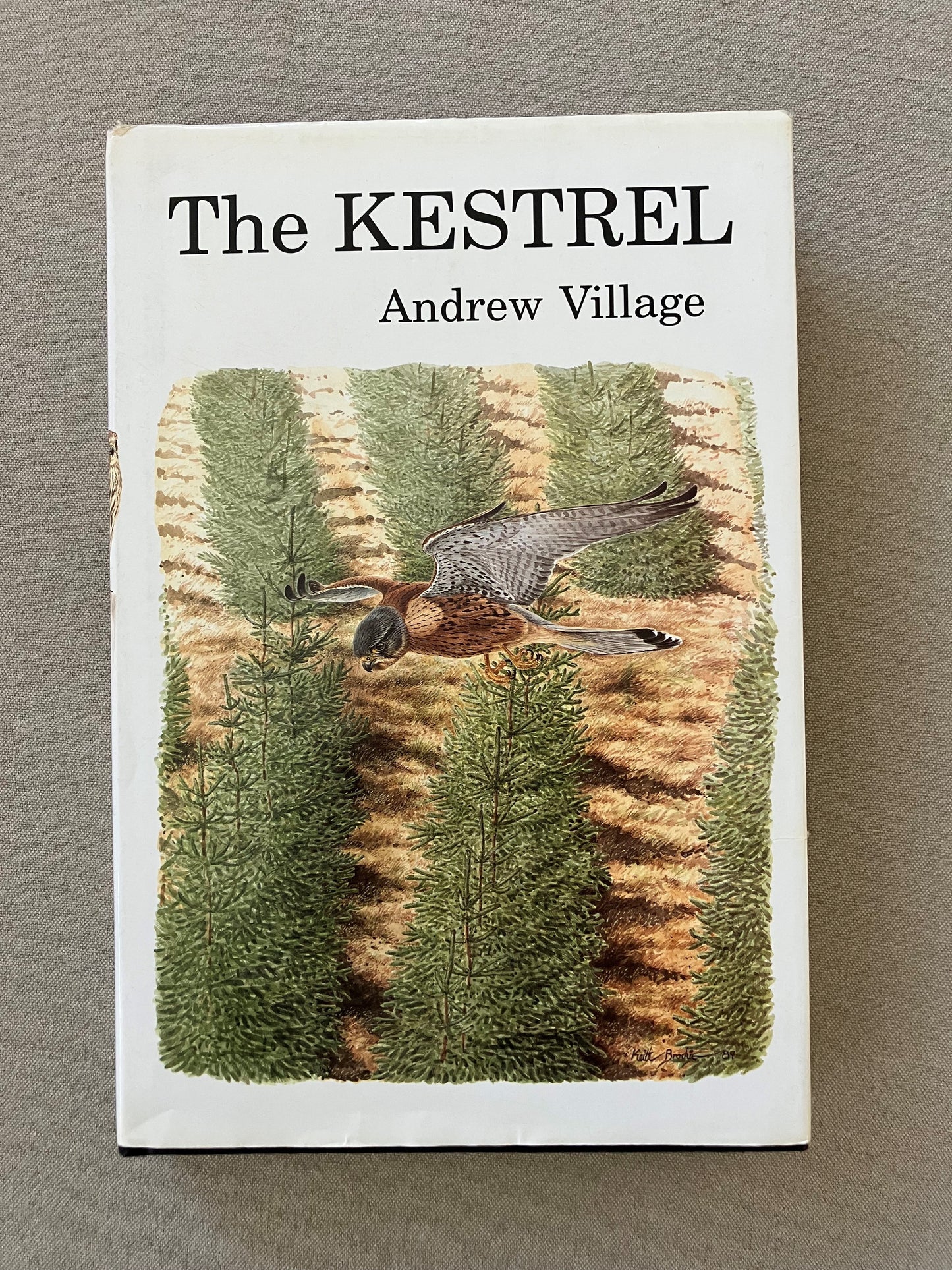 The Kestrel