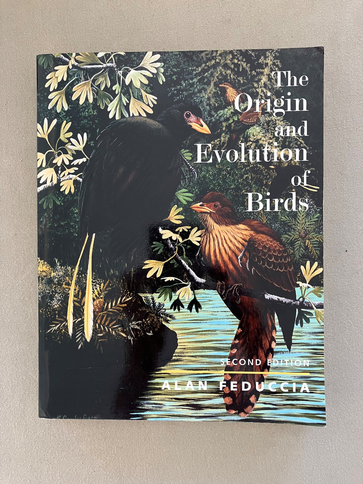 The Origin and Evolution of Birds