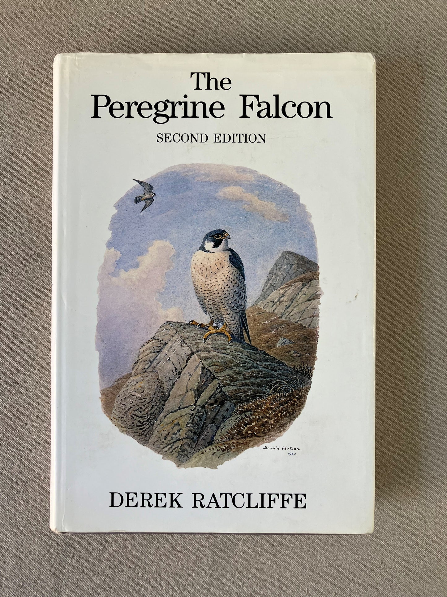 The Peregrine Falcon