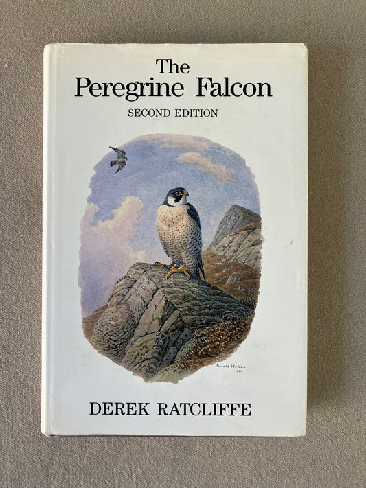 The Peregrine Falcon