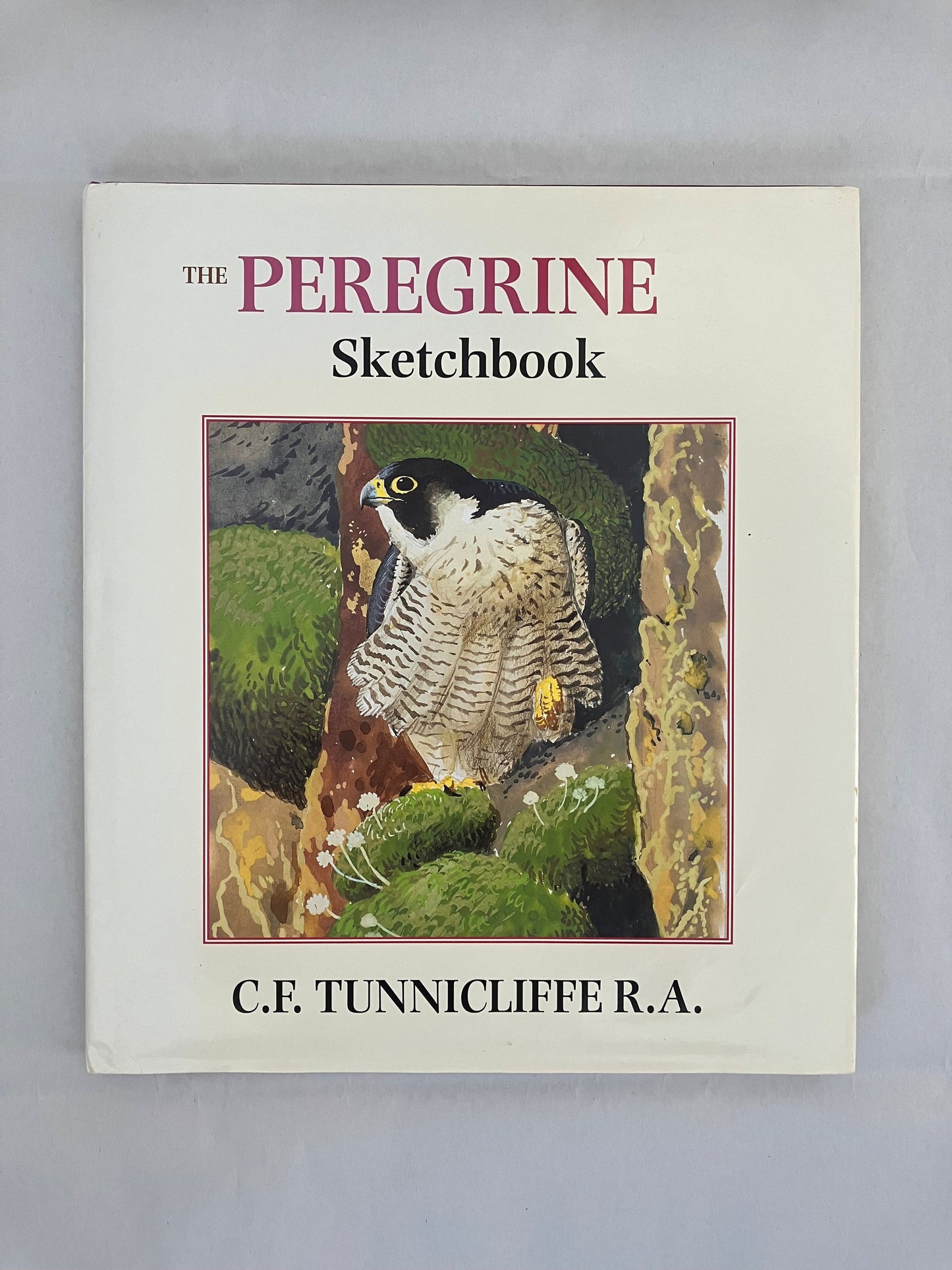 The Peregrine Sketchbook