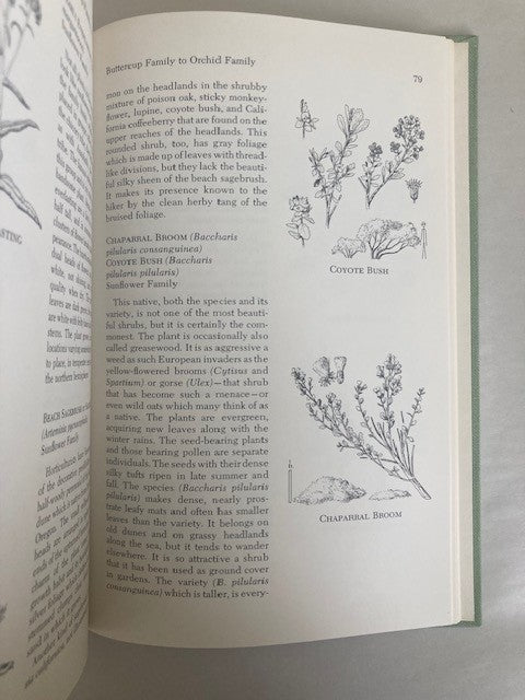 Flowers of Point Reyes National Seashore