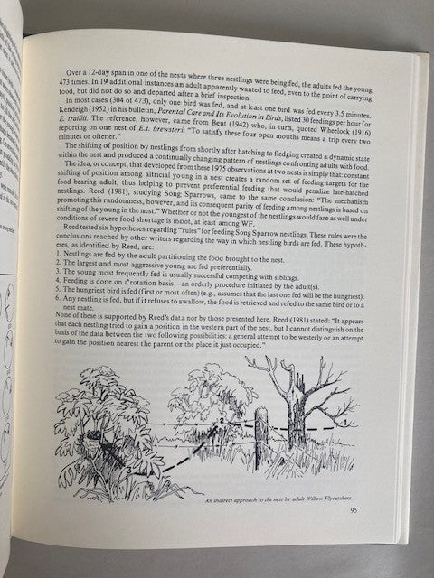 The Little Green Bird: Ecology of the Willow Flycatcher