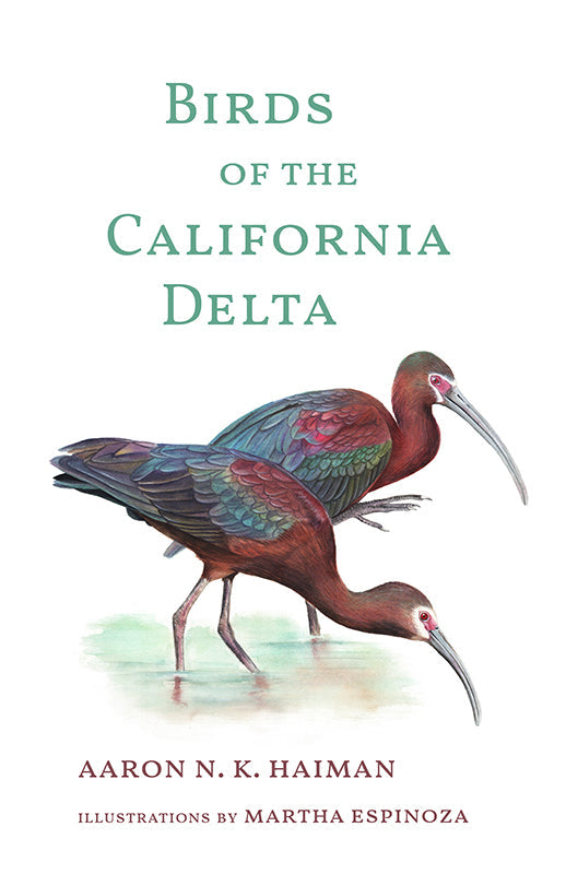 Author Event: Birds of the California Delta with Aaron Haiman