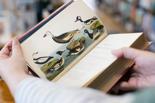 Press: Buteo Books in Audubon Magazine