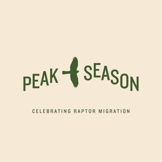 Peak Season: Celebrating Raptor Migration