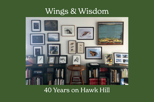 Wings & Wisdom: 40 Years on Hawk Hill