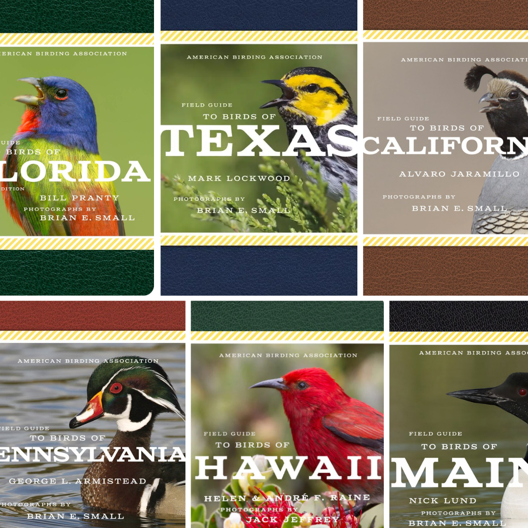 ABA Field Guides