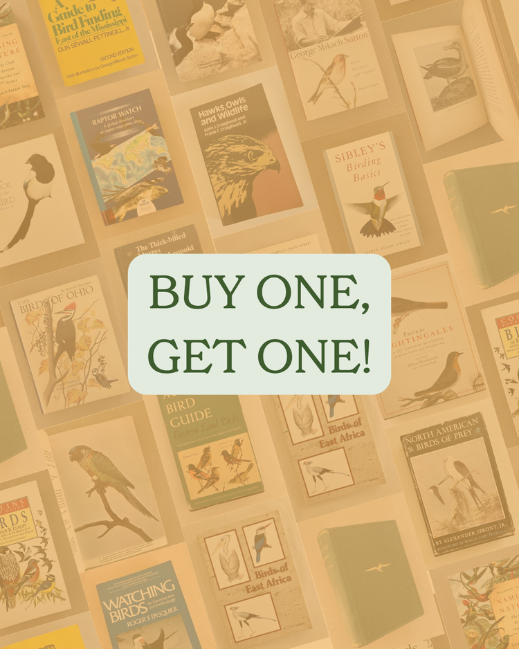 Summer Special: Buy One, Get One
