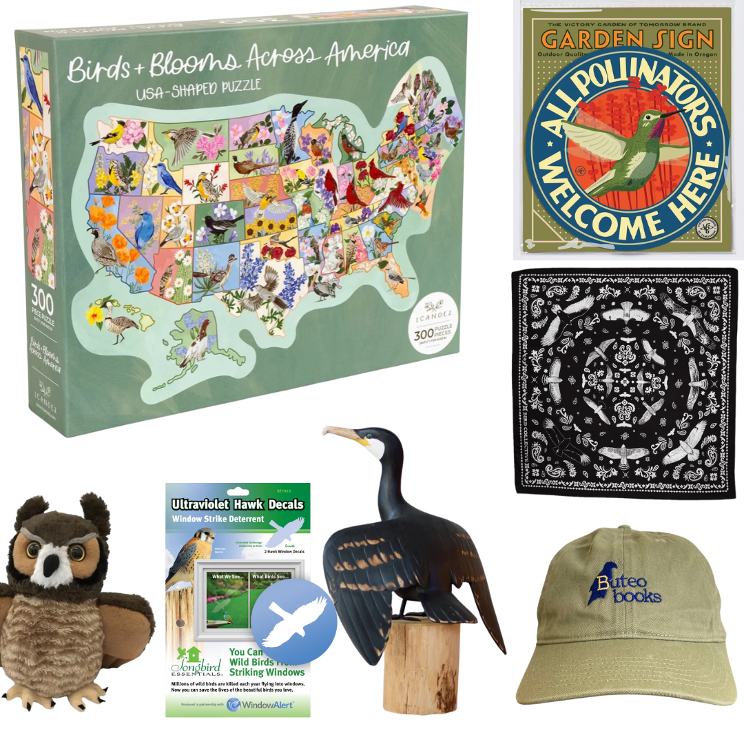 Accessories & Gifts