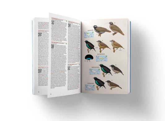 Birds of New Guinea: Including Bismarck Archipelago and Bouganville (2nd Edition)