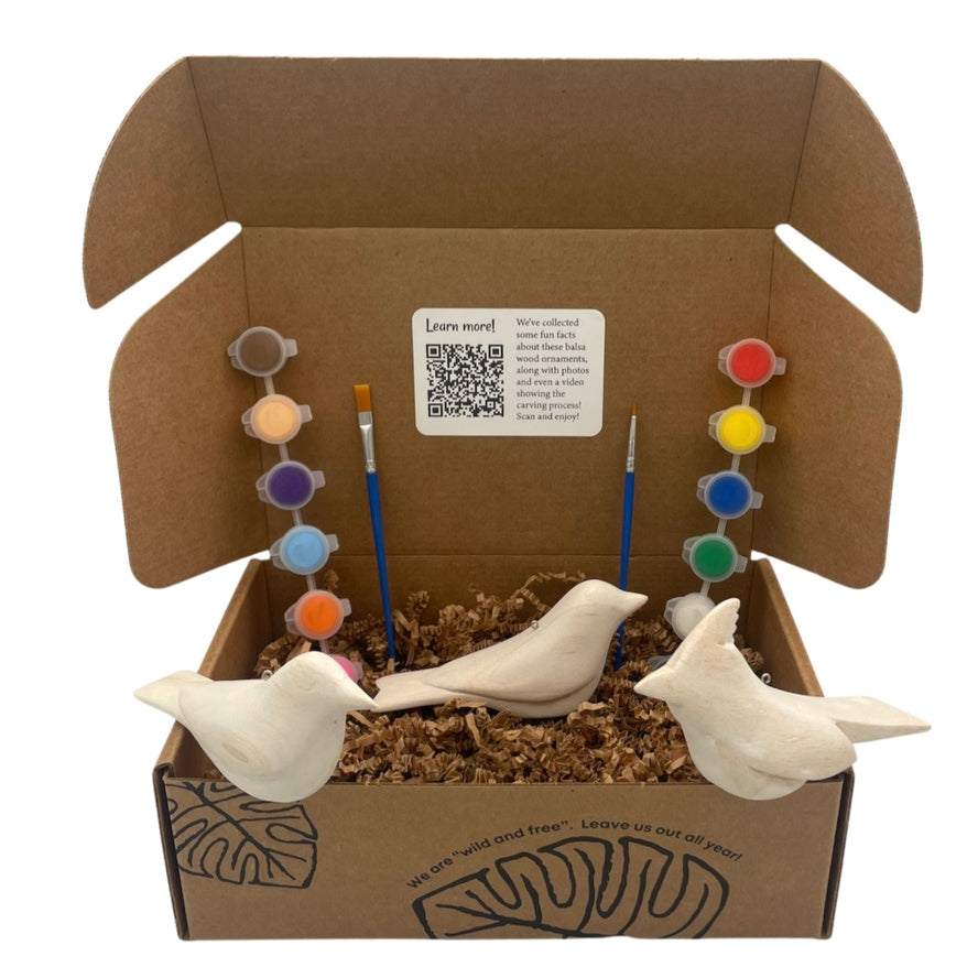 Paint-Your-Own Bird Ornaments Kit