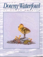 Book cover and/or sample page of The Downy Waterfowl of North America