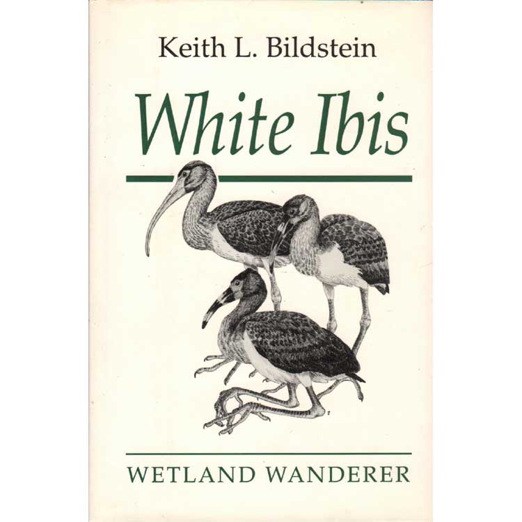 Book cover and/or sample page of White Ibis : Wetland Wanderer