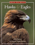 Book cover and/or sample page of How to Spot Hawks & Eagles