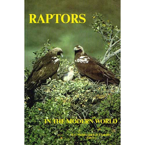 Book cover and/or sample page of Raptors in the Modern World