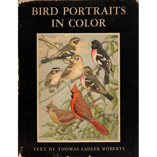 Book cover and/or sample page of Bird Portraits in Color