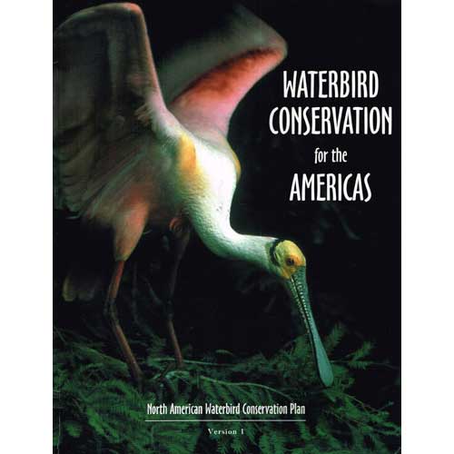 Book cover and/or sample page of Waterbird Conservation for the Americas, Version I