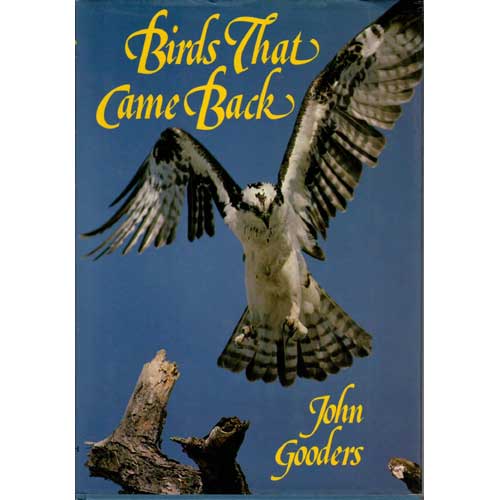 Birds That Came Back cover