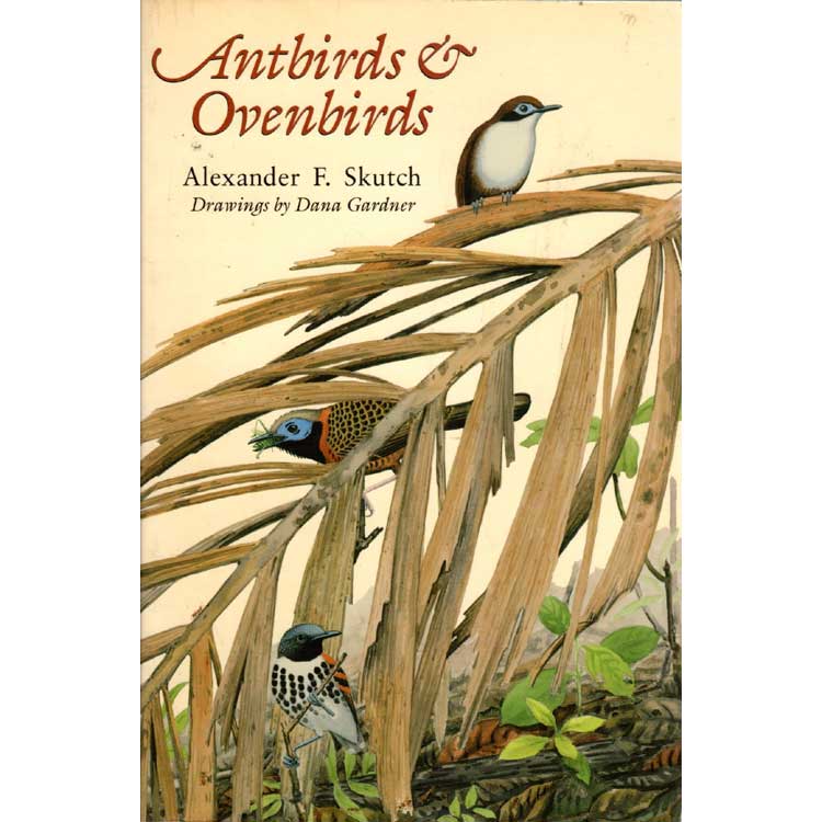 Book cover and/or sample page of Antbirds & Ovenbirds: Their Lives and Homes [USED]