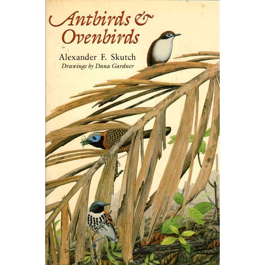 Book cover and/or sample page of Antbirds & Ovenbirds: Their Lives and Homes [USED]