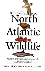 A Field Guide to North Atlantic Wildlife: Marine Mammals, Seabirds, Fish, and Other Sea Life cover