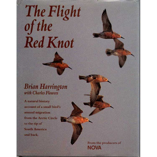 Book cover and/or sample page of The Flight of the Red Knot