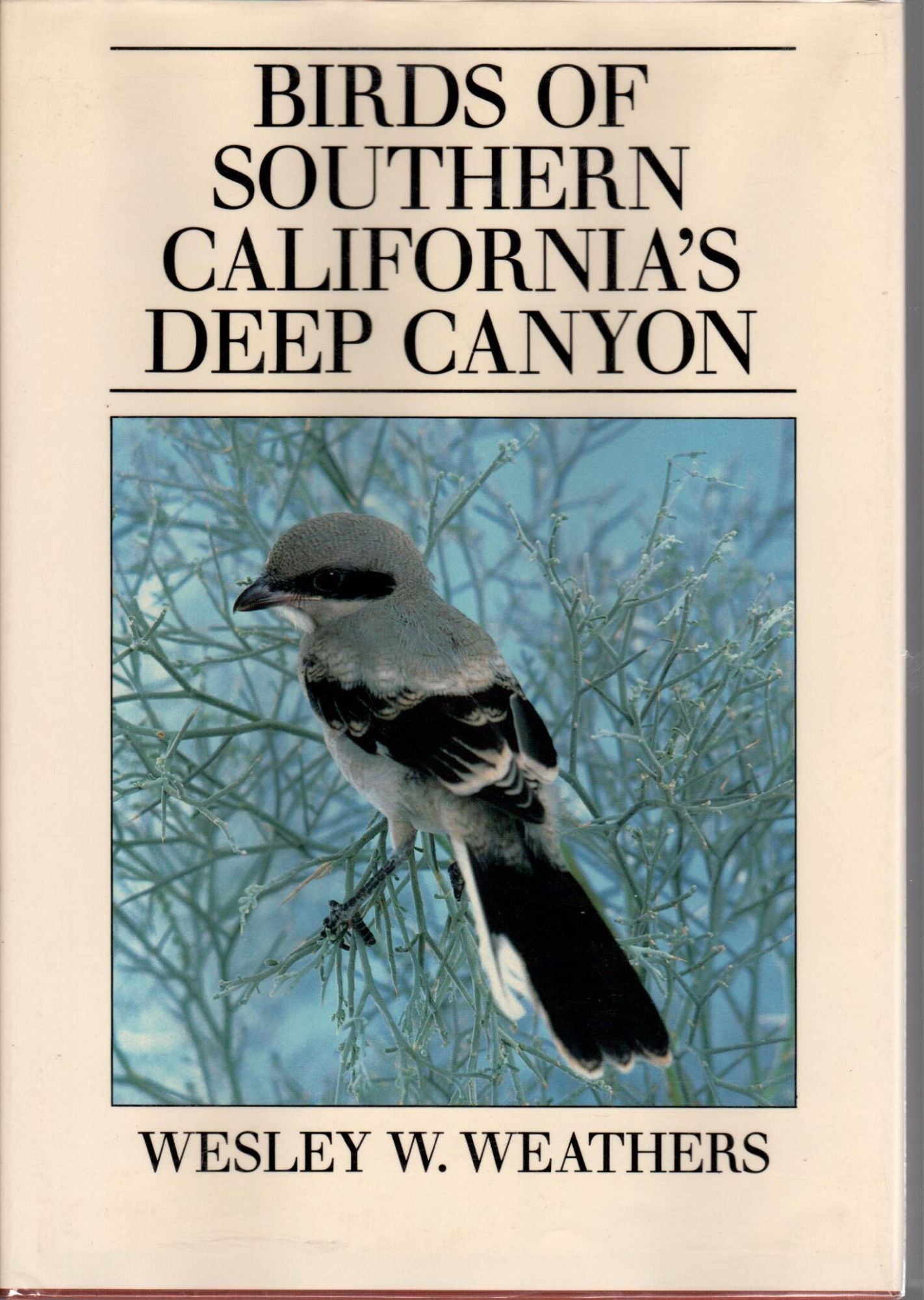 Birds of Southern California's Deep Canyon [USED] cover