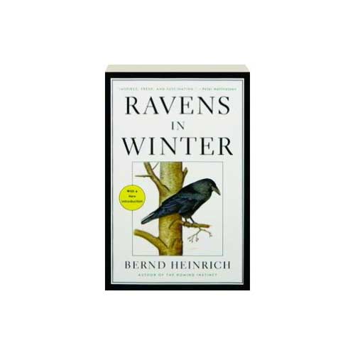 Ravens in Winter [Paperback] cover