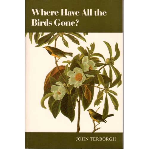 Where Have All the Birds Gone?: Essays on the Biology and Conservation of Birds That Migrate to the American Tropics [PB] cover