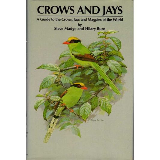 Crows and Jays: A Guide to the Crows, Jays and Magpies of the World [HC] cover