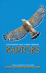 Book cover and/or sample page of A Photographic Guide to North American Raptors