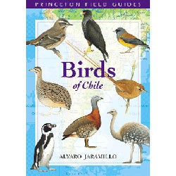 Book cover and/or sample page of Birds of Chile: Princeton Field Guides [PB]