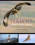 Book cover and/or sample page of Hawks from Every Angle: How to Identify Raptors in Flight