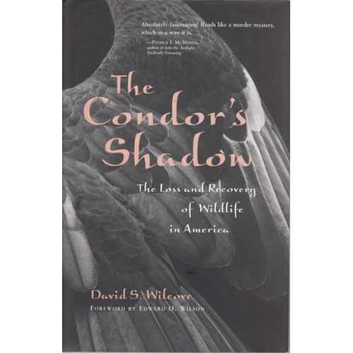 The Condor's Shadow: The Loss and Recovery of Wildlife in America cover