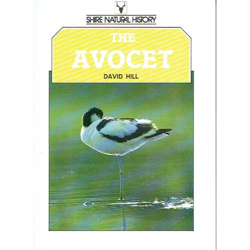 Book cover and/or sample page of The Avocet