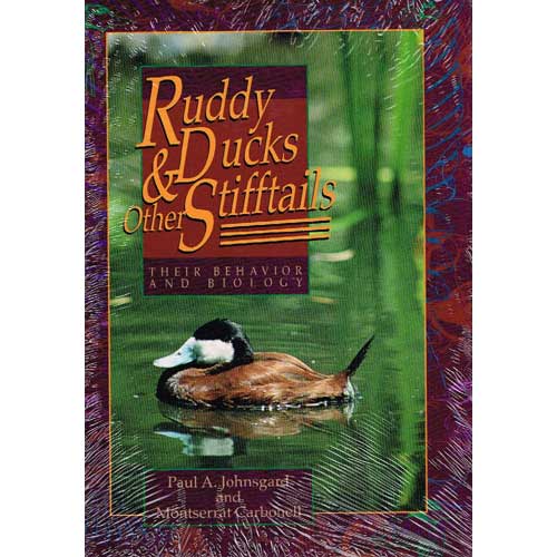 Book cover and/or sample page of Ruddy Ducks & Other Stifftails: Their Behavior and Biology