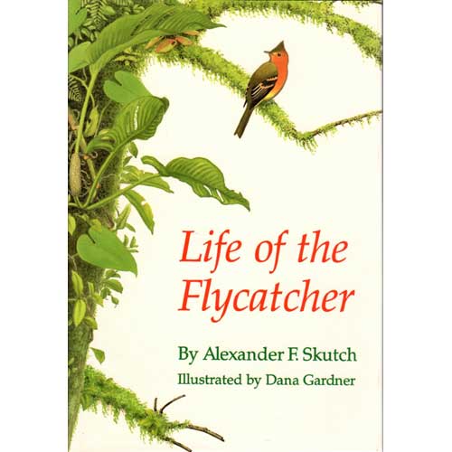 Book cover and/or sample page of Life of the Flycatcher