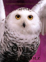 Book cover and/or sample page of Owls: An Artist's Guide to Understanding Owls