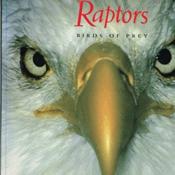 Book cover and/or sample page of Raptors: Birds of Prey