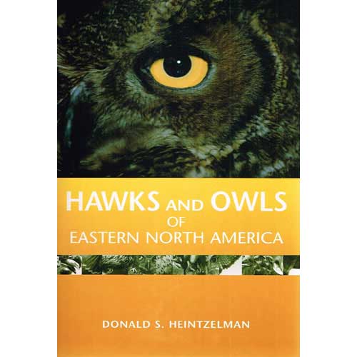 Book cover and/or sample page of Hawks and Owls of Eastern North America