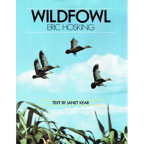 Book cover and/or sample page of Eric Hosking's Wildfowl